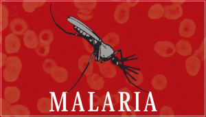 20090317_malaria_bilionacional